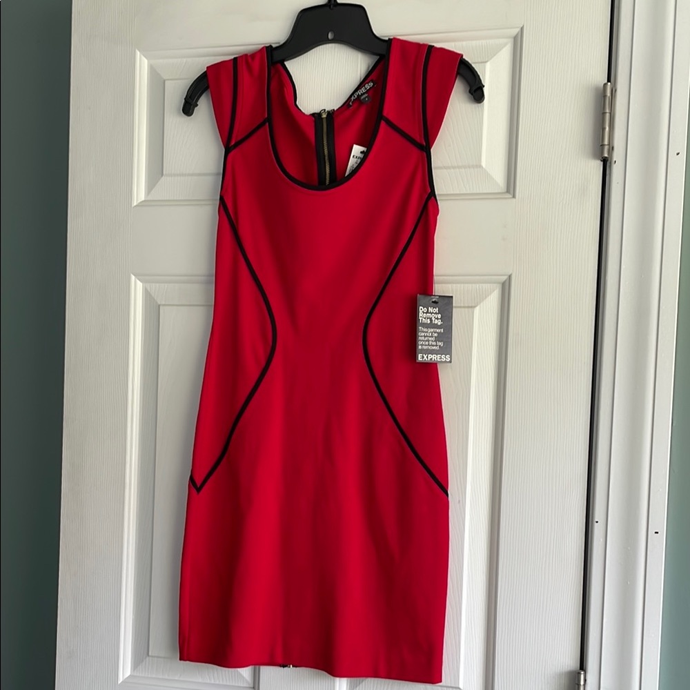 Express Body-con Zipper Red Dress